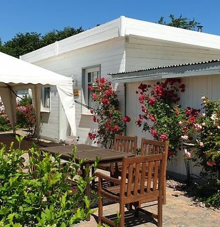 Ferienbungalow Haus Am Teich Boltenhagen  Bagian luar foto