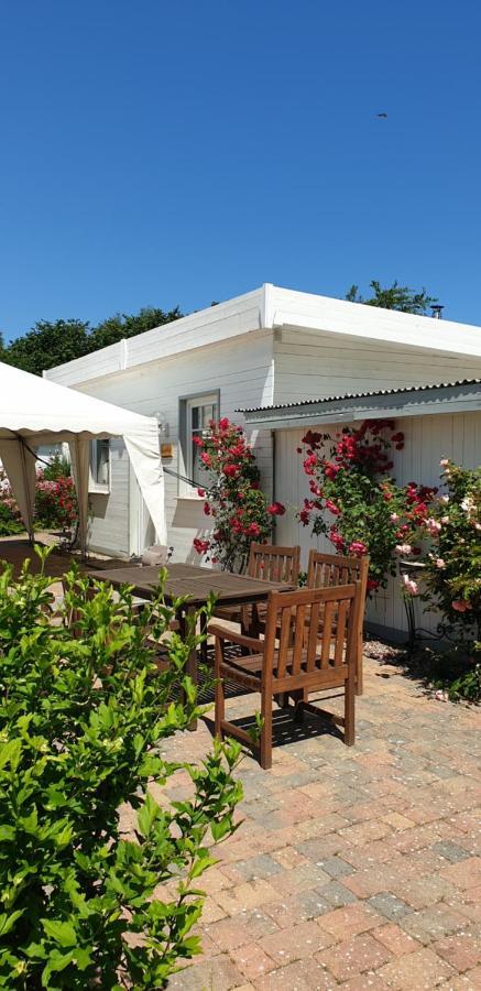 Ferienbungalow Haus Am Teich Boltenhagen  Bagian luar foto