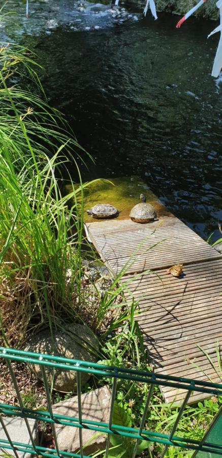 Ferienbungalow Haus Am Teich Boltenhagen  Bagian luar foto