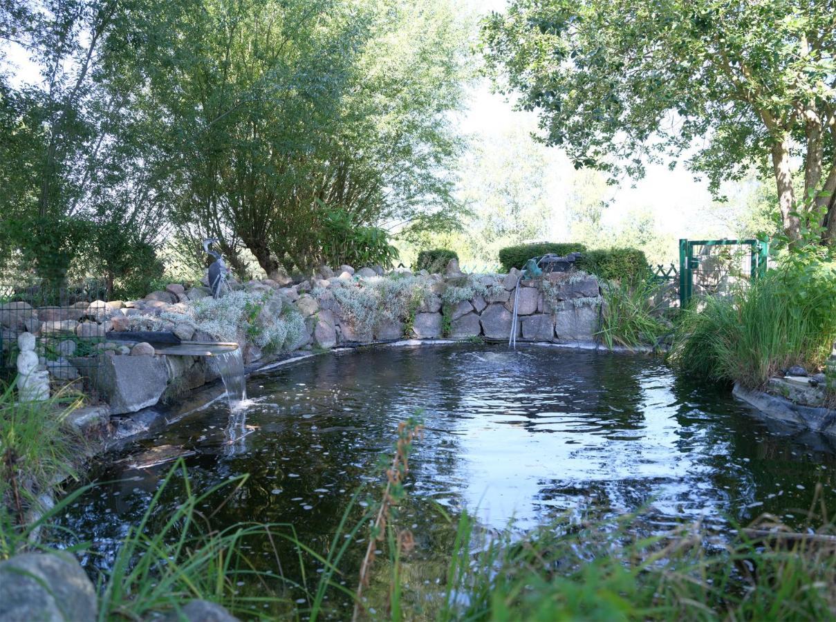 Ferienbungalow Haus Am Teich Boltenhagen  Bagian luar foto